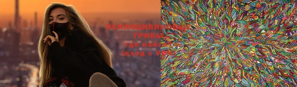стаф Абаза